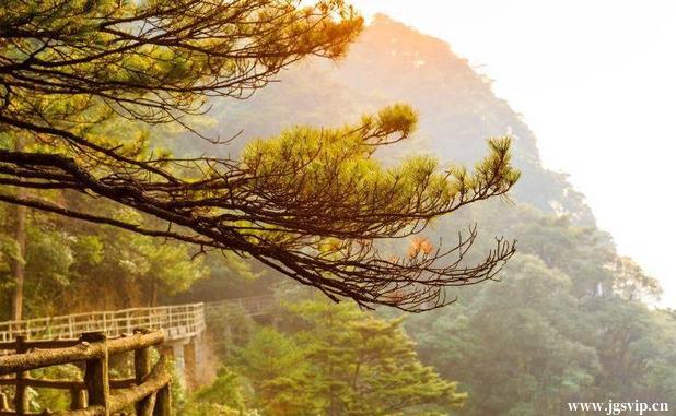 关于井冈山旅游攻略的图片
