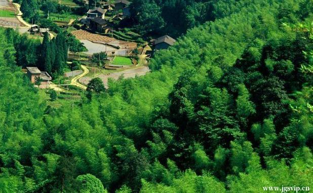 关于井冈山旅游攻略的图片