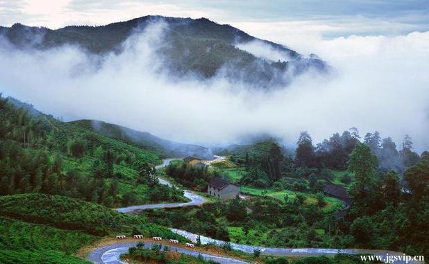 关于井冈山旅游攻略的图片