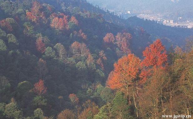 德兴去井冈山旅游怎么走,德兴到井冈山多少公里