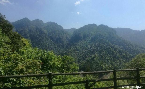 关于井冈山旅游攻略的图片