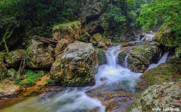 关于井冈山旅游攻略的图片