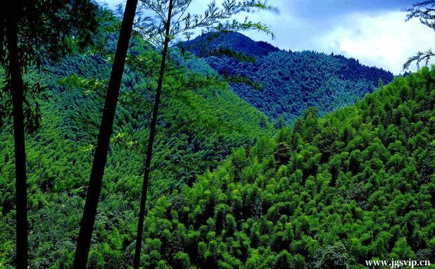 关于井冈山旅游攻略的图片