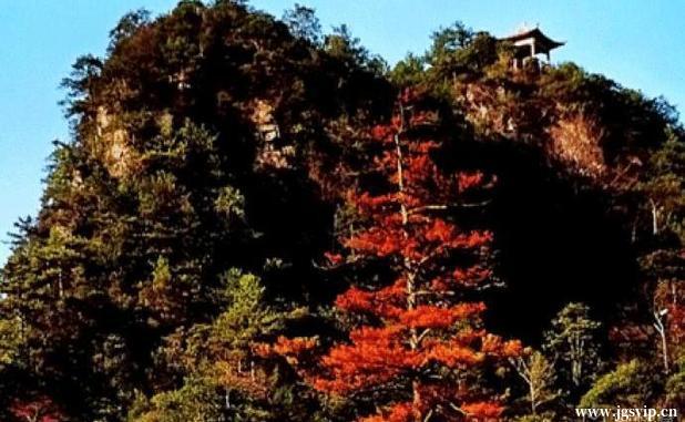 关于井冈山旅游攻略的图片