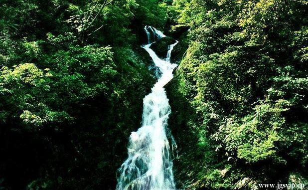 关于井冈山旅游攻略的图片