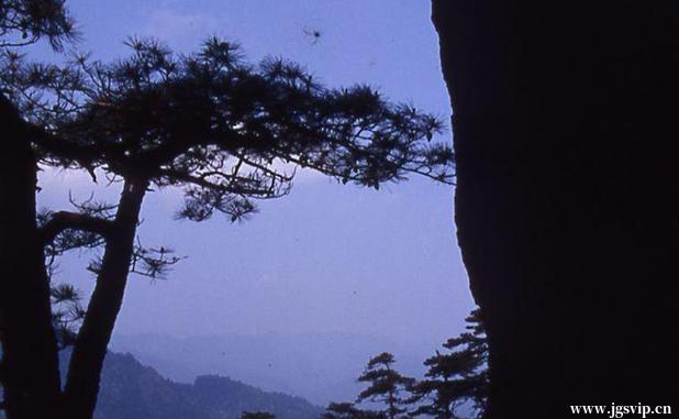 关于井冈山旅游攻略的图片