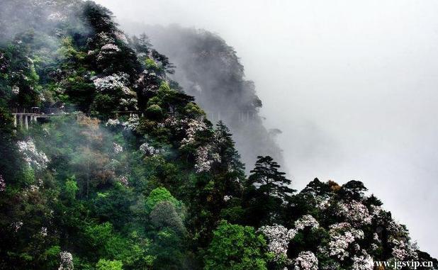 关于井冈山旅游攻略的图片