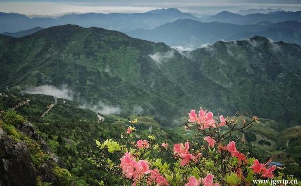 关于井冈山旅游攻略的图片