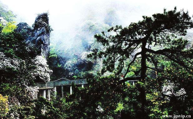 关于井冈山旅游攻略的图片