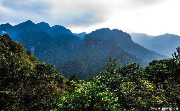 关于井冈山旅游攻略的图片
