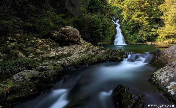 关于井冈山旅游攻略的图片