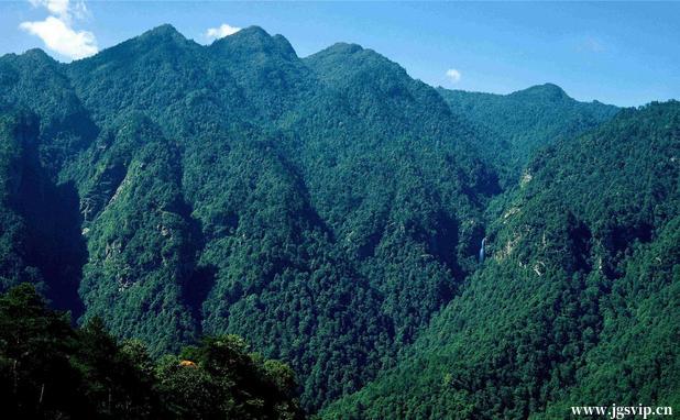 关于井冈山旅游攻略的图片
