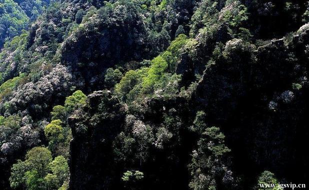 关于井冈山旅游攻略的图片