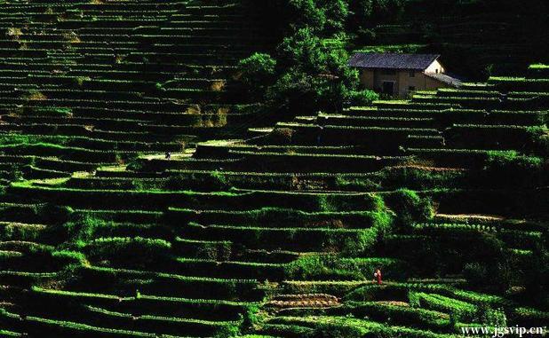 关于井冈山旅游攻略的图片