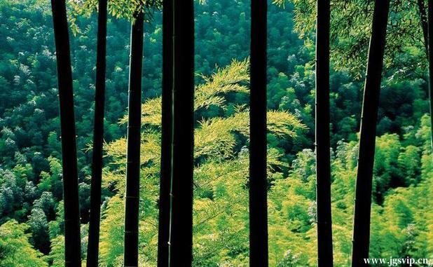 关于井冈山旅游攻略的图片