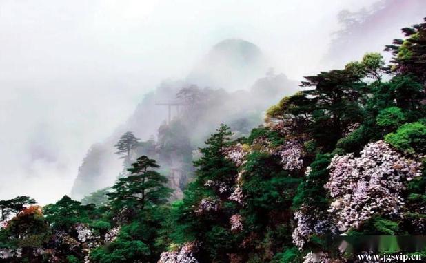 关于井冈山旅游攻略的图片