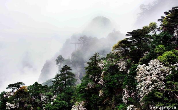 关于井冈山旅游攻略的图片