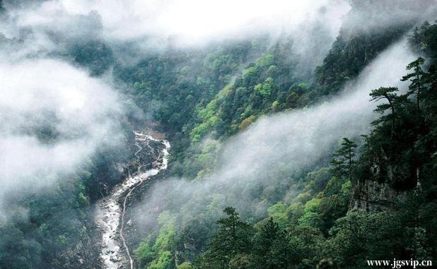 关于井冈山旅游攻略的图片