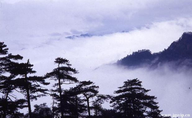 关于井冈山旅游攻略的图片